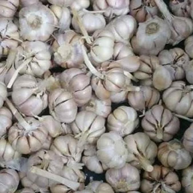 

BERKUALITAS Bawang Putih Sico 1/2Kg Promo Murah Meriah - Shuffel MURAH