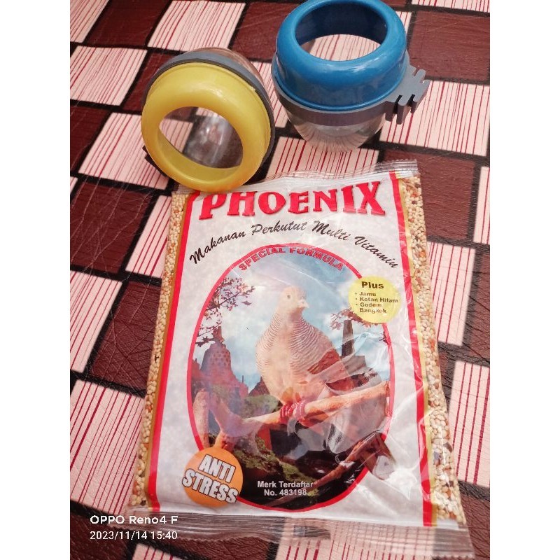 Satu set pakan perkutut cepuk murah