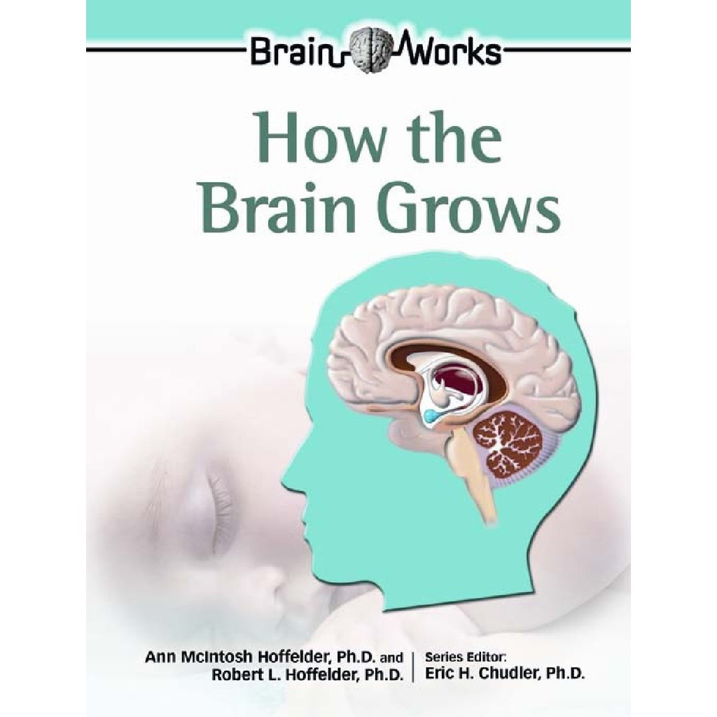 

Brain Works - How the Brain Grows (D)