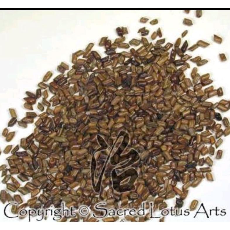 

BN 1KG 1 KG 1000 G GR GRAM CAO JUE MING ZI FOETID CASSIA SEED SEEDS SEMEN CASSIAE TERLARIS