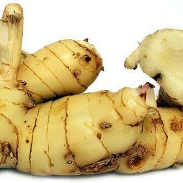 

Adlian Lengkuas Bubuk 100Gram / Galangal Ground 100Geam / Laos