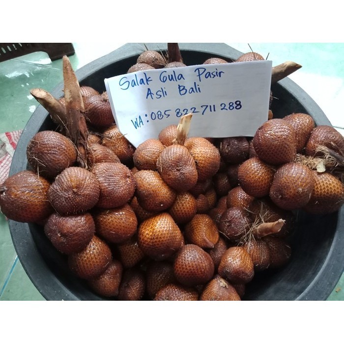 

Terbaru Salak Gula Pasir Asli Bali Terlaris - Adelineez