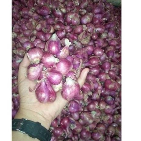 

Bawang merah Brambang asli nganjuk 1 kg 1000 gram. kering sedang campur besar Kualitas Terbaik