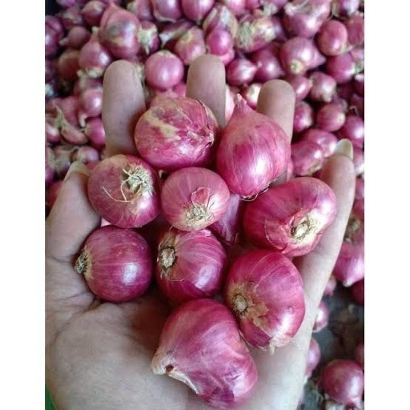

BAWANG MERAH SEDANG ASLI NGANJUK 500G Kualitas Terbaik