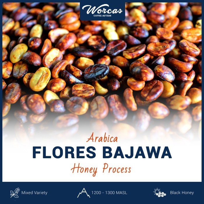 

Ready Green Bean Arabica Flores Bajawa Honey Process 1Kg (Biji Kopi Mentah)
