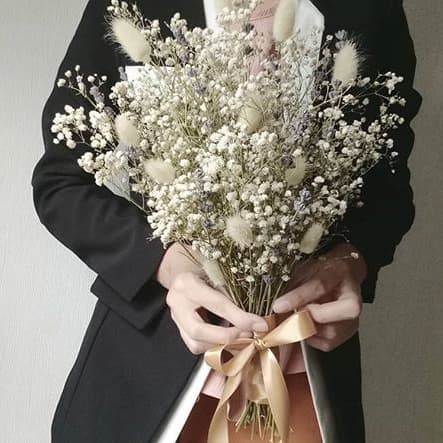 Gypsophila/ Baby Breath /Bunga Kering/Dried Flower /Bunga Wedding