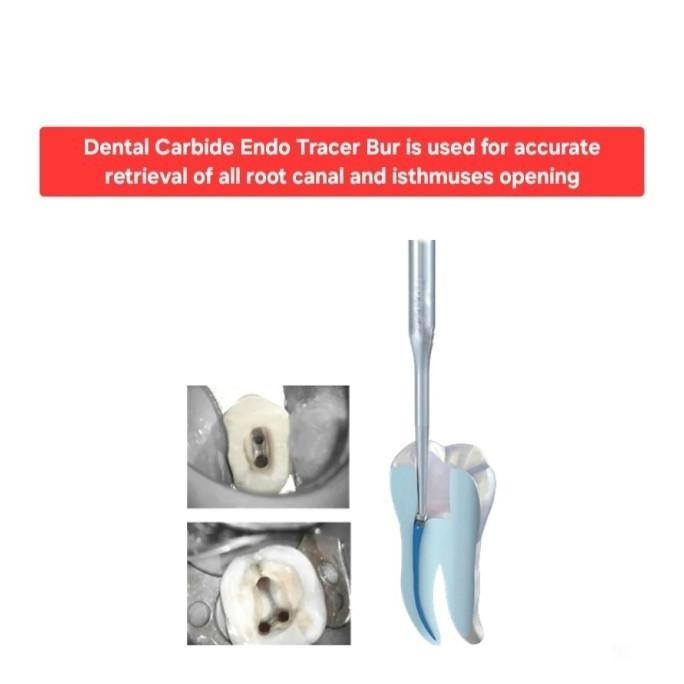 TYU Dental Carbide Endo Tracer Bur Long Slim Shank Opening Access Orifice Isthmus Finder Hidden Cana