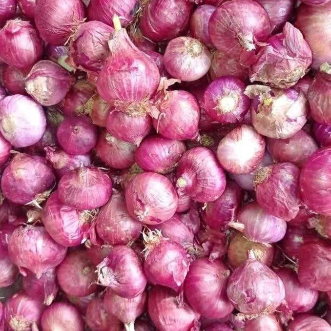 

READY STOCK BAWANG MERAH BATU SUPER MURAH 1KG !!!!!