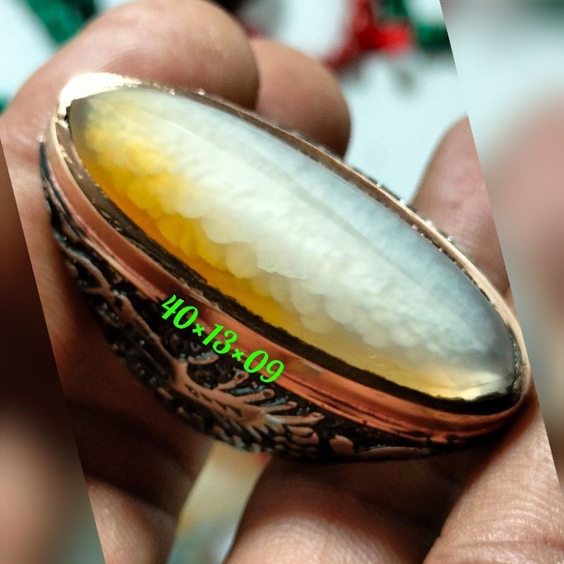 cincin pandan kapas alas kuning sisik betok
