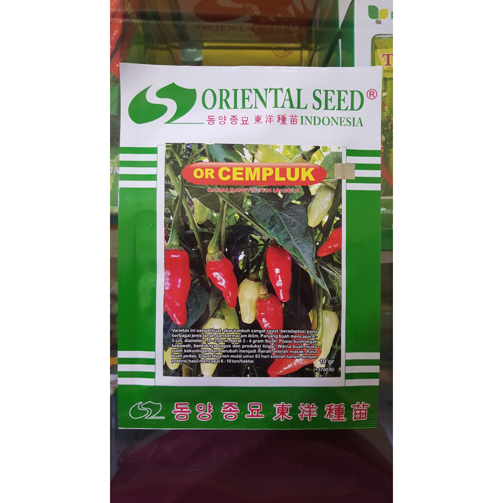 Bibit Cabe Benih Cabai Rawit Putih Rawit Domba Or Cempluk 10Gr