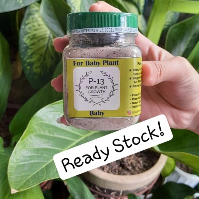 Pupuk P13 BABY / ANAKAN Om Justin