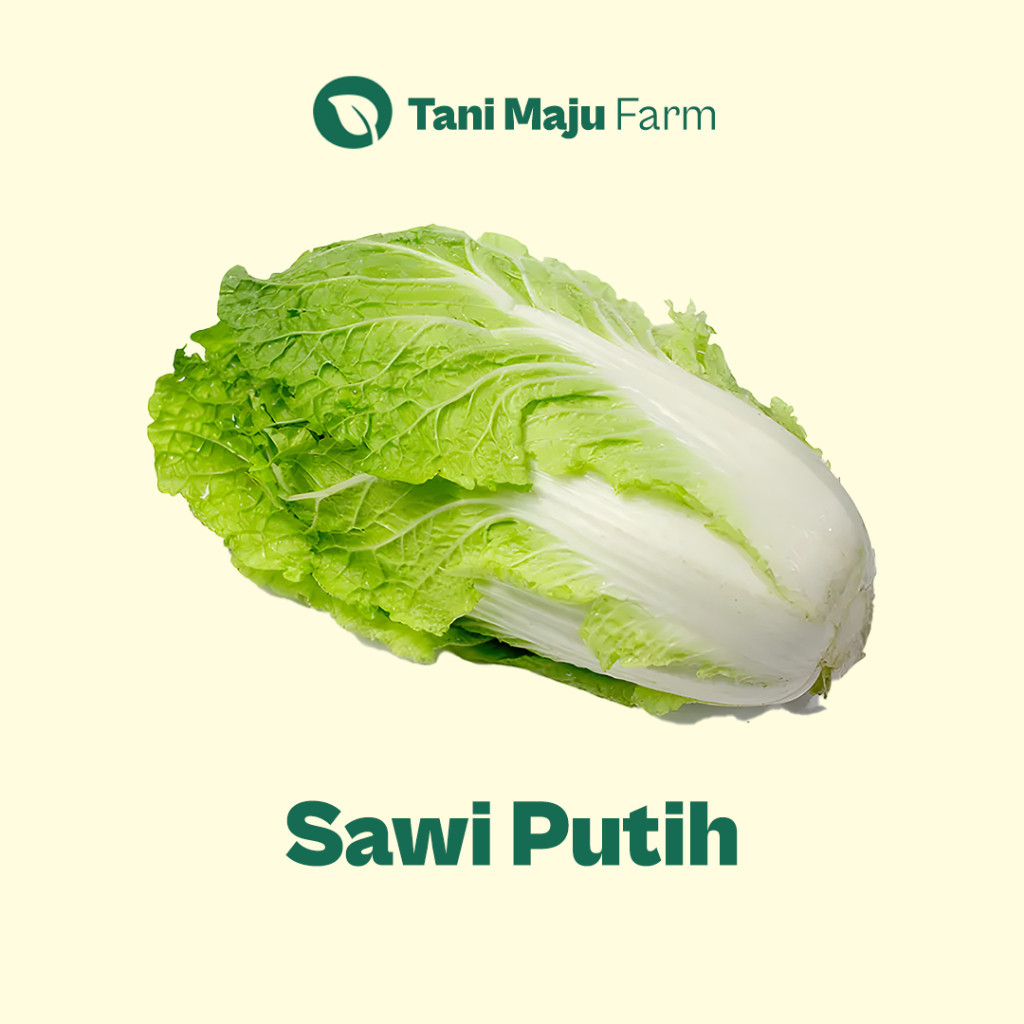 

Sawi Putih Petsai Fresh Organik (500 gram) - Sayuran
