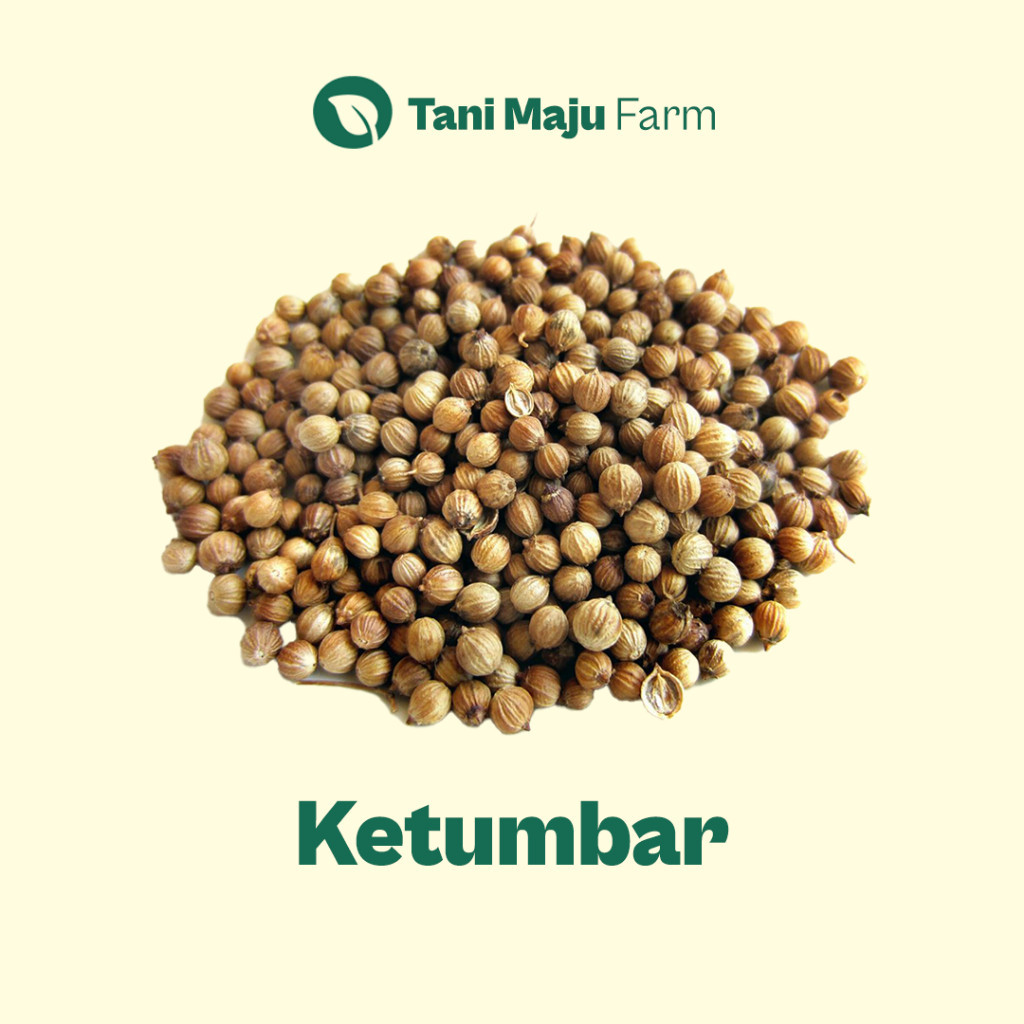 

Ketumbar Coriander Organik (10 gram) - Rempah