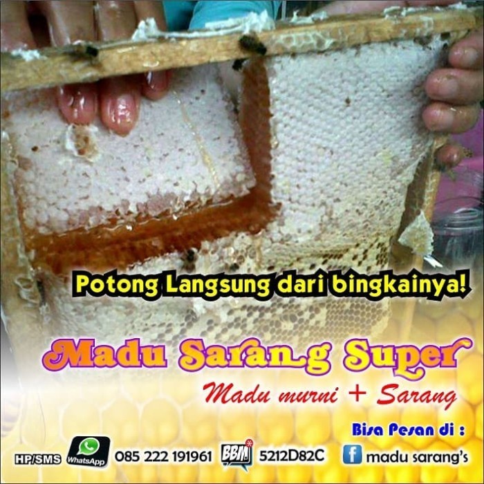 

Ready MADU + SARANG Tulen