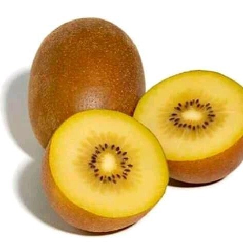 

Ready buah kiwi gold