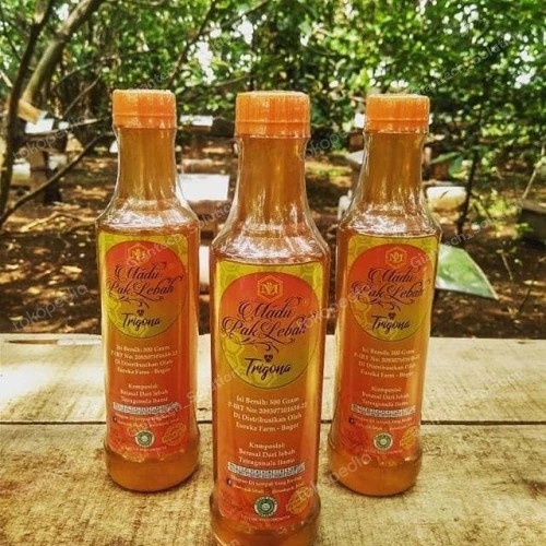 

Ready Madu Klenceng Trigona 500 gr Murni Pak Lebah