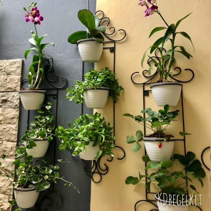 Standing Pot Dinding Anggrek Rak Bunga Besi Tempel Dinding Murah