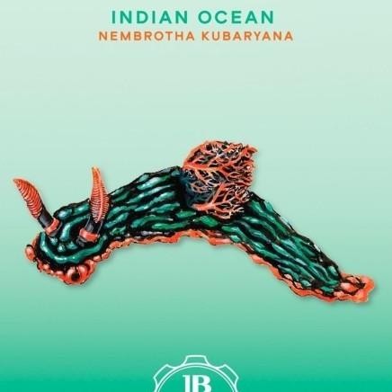 [New] Blancpain X Swatch Indian Ocean Original 100%
