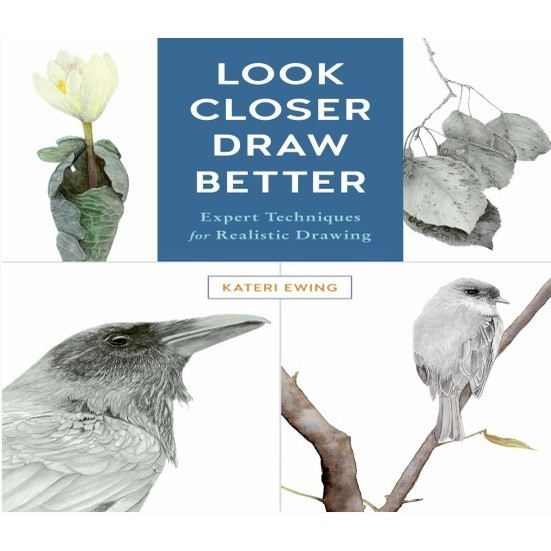 

Look Closer, Draw Better ( D )