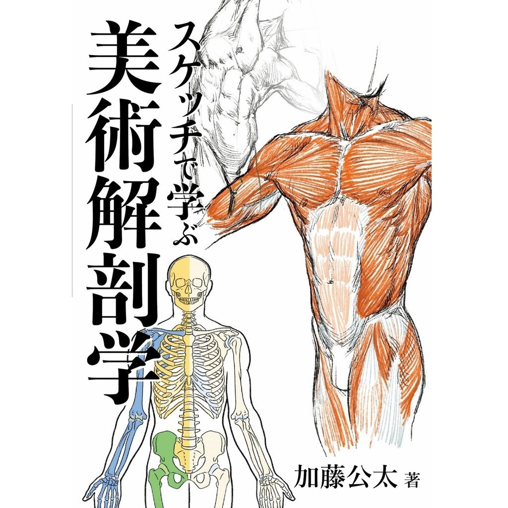 

Learn Art Anatomy From Sketches ( D )