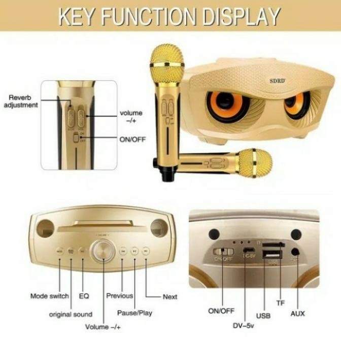 Speaker Dual Mic Karaoke Bluetooth Sdrd Sd-306 + Dua Microphone Sd306 Imanstoress