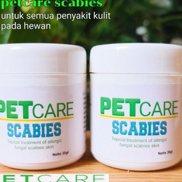 Obat Jamur Scabies Kucing Obat Jamur Kucing Obat Scabies Kucing Obat Jamur Kulit Kucing