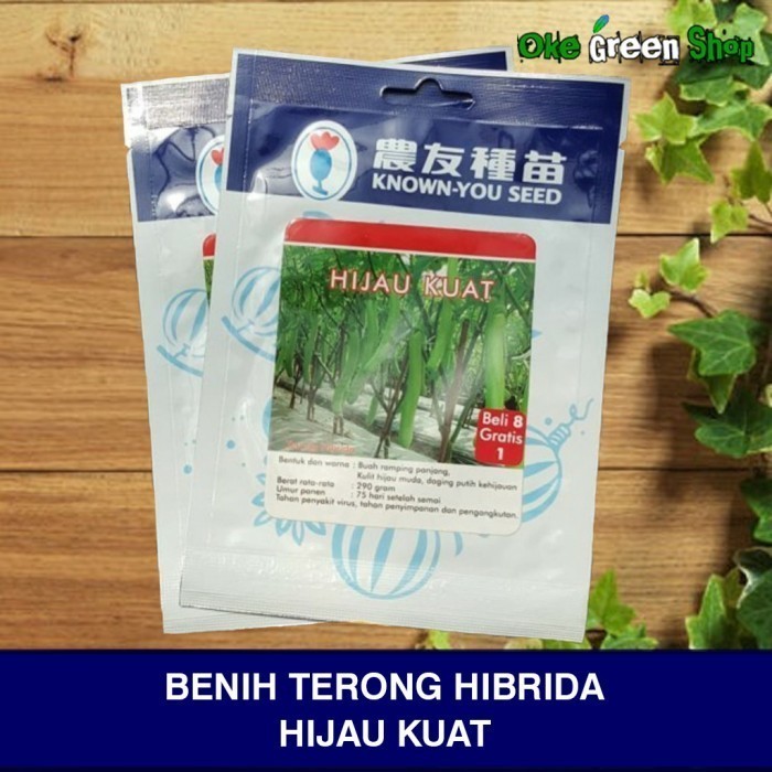 SALE BENIH BIBIT TERONG HIBRIDA HIJAU KUAT KNOWN YOU SEED
