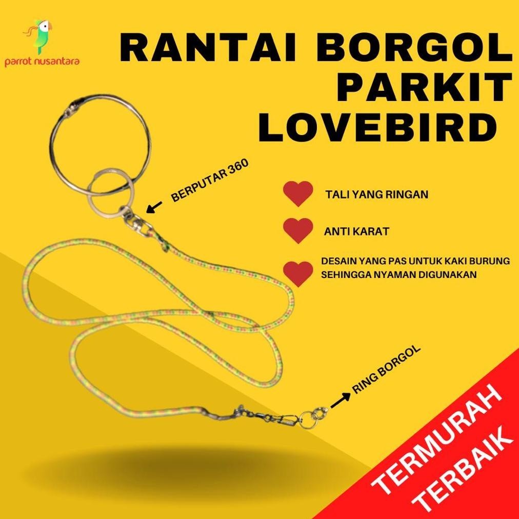 Tali Borgol Burung Parkit Lovebird Burung Kecil (Lagi Rame)