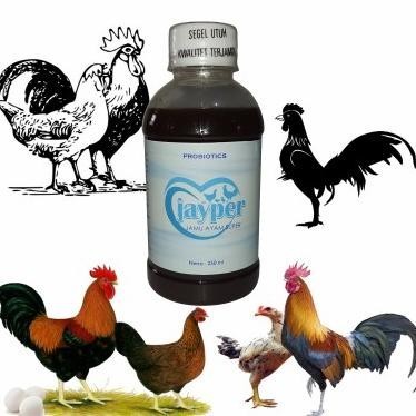 Ready Vitamin Hewan Probiotik Ayam Kampung Anti Snot Anak Ayam Kampung