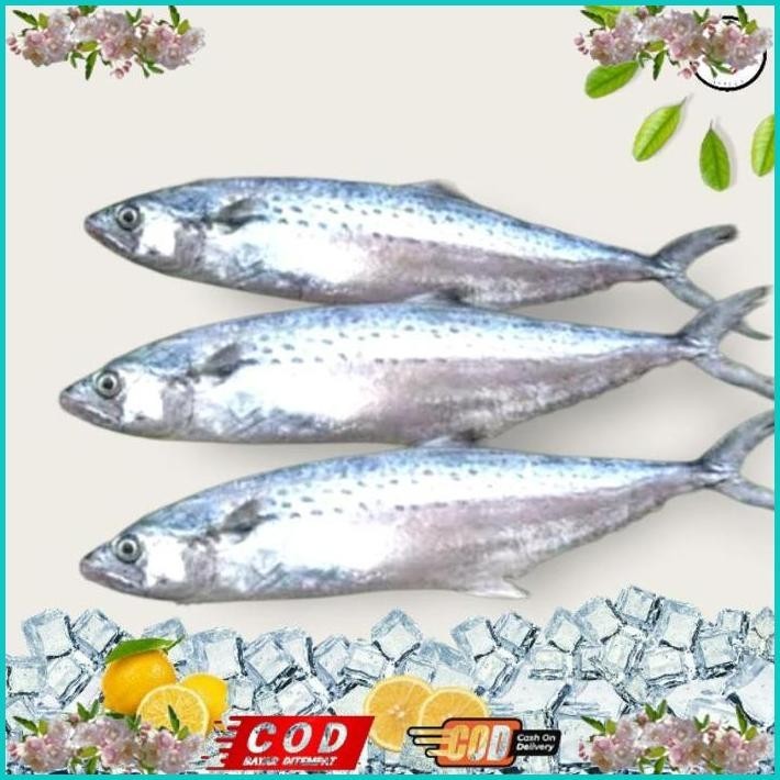 

BISMILLAH DAGING IKAN TENGGIRI GILING SUPER 100% SEJIWA - 1KG ALISUP