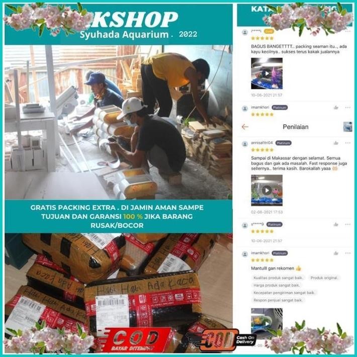 BISMILLAH 1 SET AQUARIUM MINI IKAN HIAS/ AQUARIUM CUPANG SEGALA IKAN PLUS MESIN OXYGN AERATOR GLEMBU