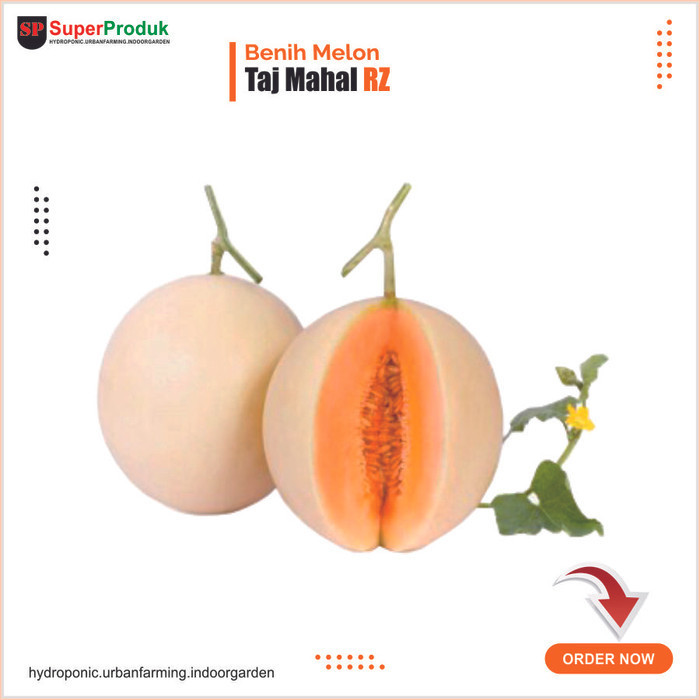 Benih Melon Taj Mahal Tajmahal Rz Kemasan Repack 100Seed