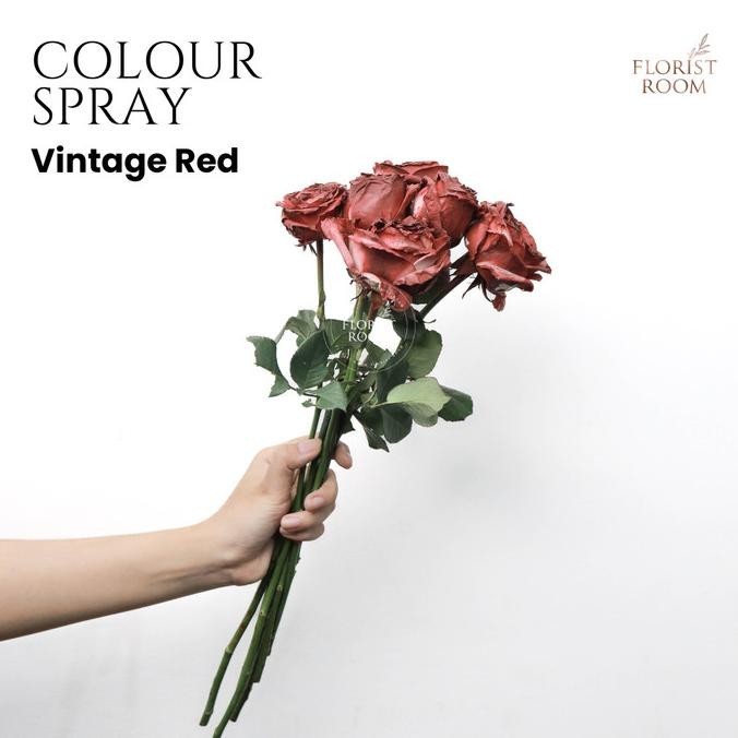 

Cool Color Pewarna Bunga - Barang Florist