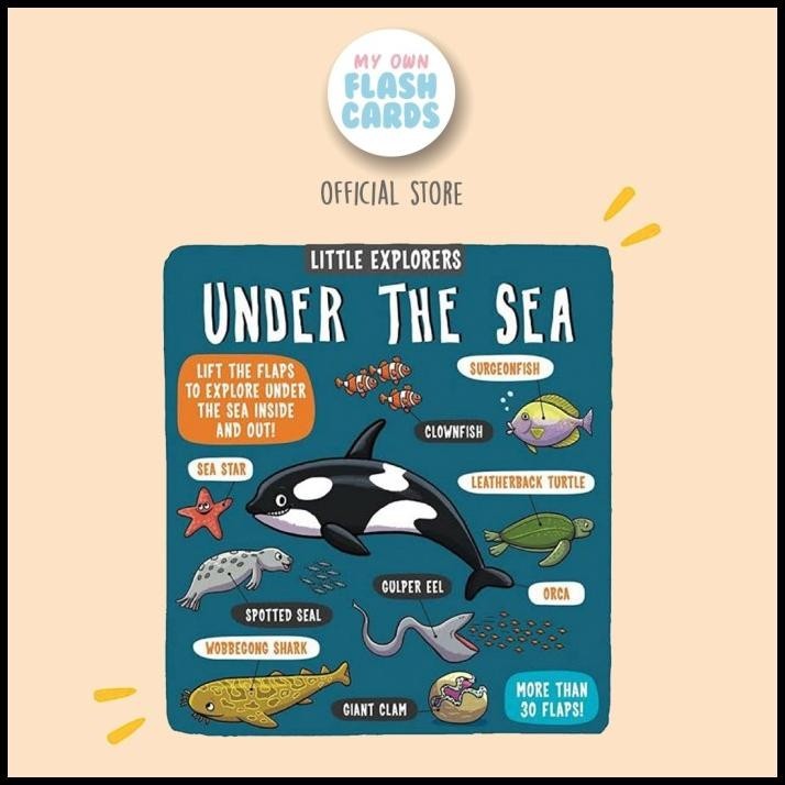 

Little Explorers Under The Sea Board Book Lift The Flap Children Kids