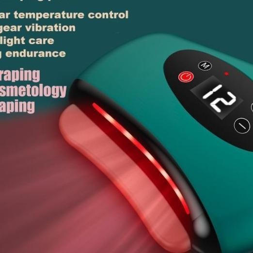 Electric Beauty Machine /Guasha Facial Beauty 9 Level Face Massage Gua