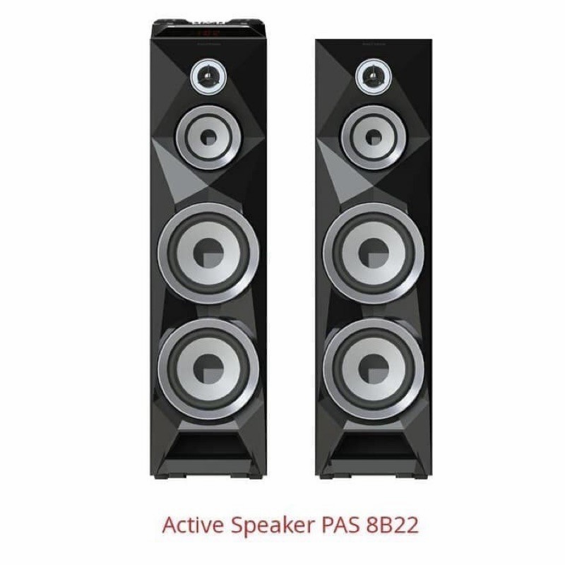 POLYTRON ACTIVE SPEAKER PAS 8B22 GARANSI