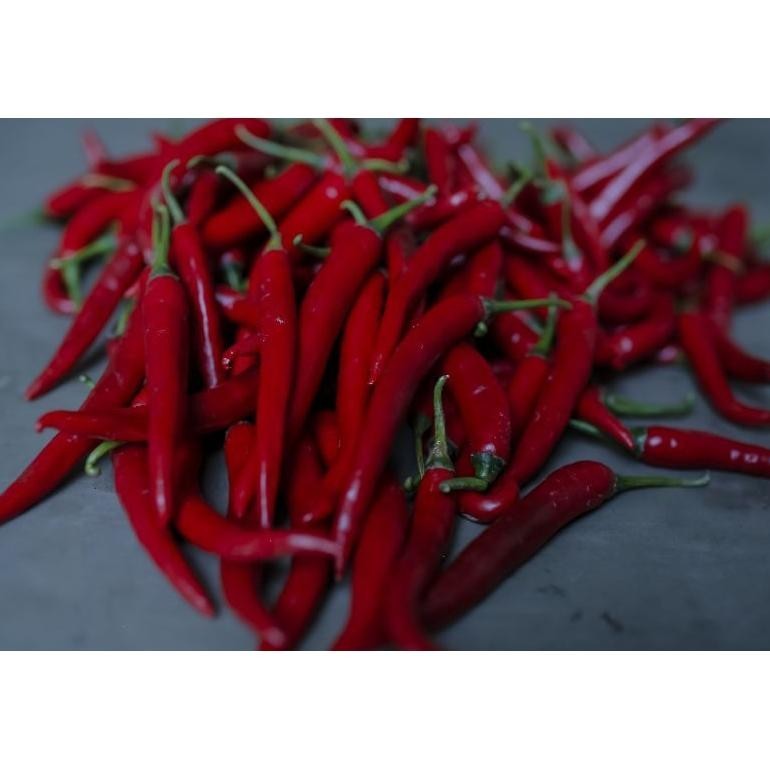 

dg-4 cabe/cabai besar 1kg Viral