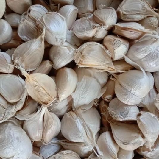 

Bawang Putih Kating 1 Kg