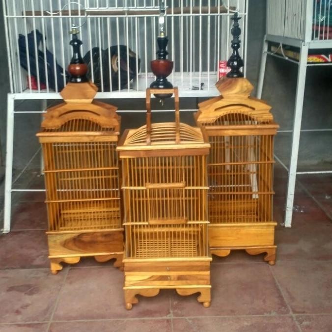 Kandang pleci pernisan kayu jati