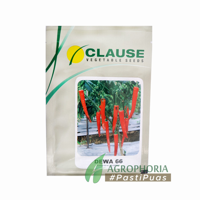 Benih Cabe Besar Dewa 66 10 Gram - Clause