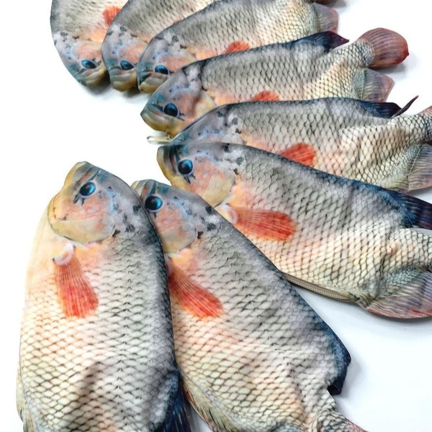 

Siap Kirim Tempat Pensil Ikan Gurame Untuk Penggemar Seafood H-4