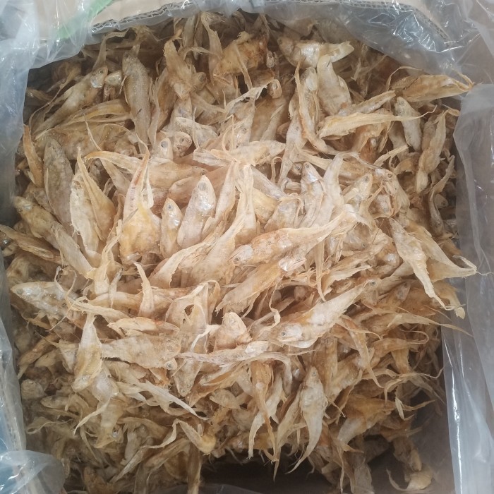 

Best Ikan Asin Bulu Ayam 1 Kg Fresh A9