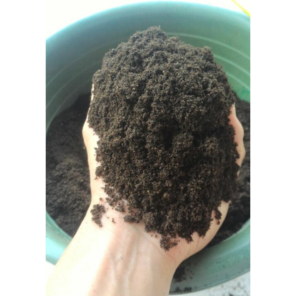 Pupuk Hijau / Kompos / Pupuk Organik Azolla Microphylla Murni 100%