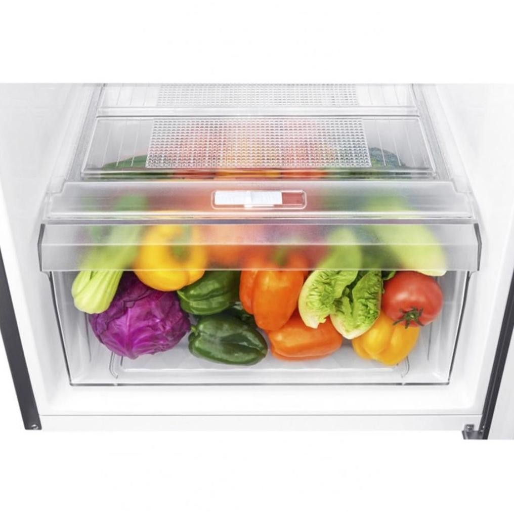 SPAREPART KULKAS RAK KULKAS LG INVERTER SERI GN-B