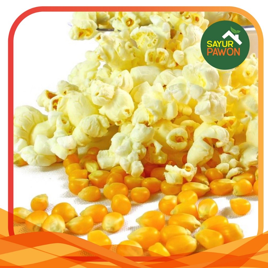

Biji Jagung Pop Corn mentah kering per 500 gram