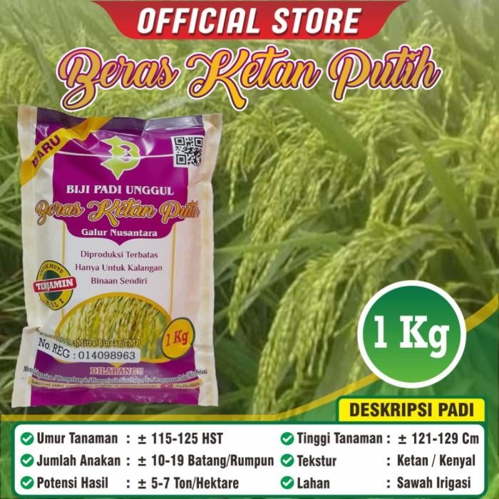 

Ketan Putih / Biji Padi Unggul Ketan Putih Kemasan 1 Kilogram / Asli Kualitas Terbaik