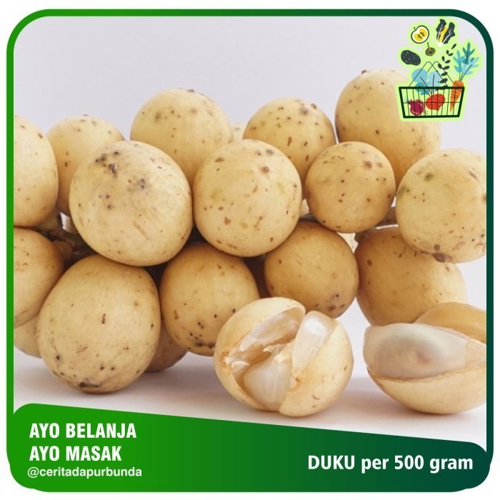 

BUAH DUKU per 500 gr