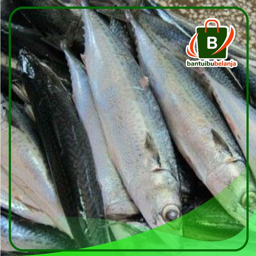 

Ikan Salem per 500gr