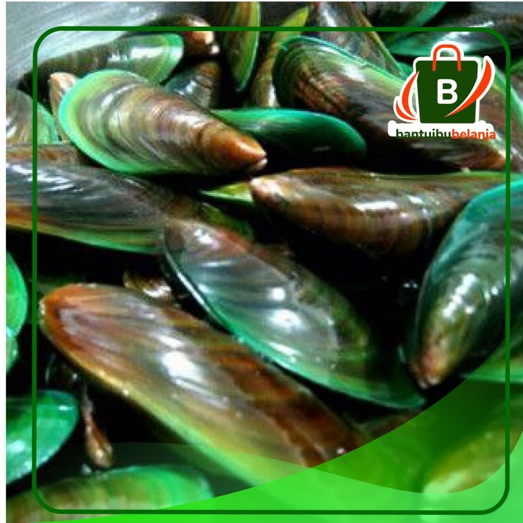 

KERANG HIJAU / 500gr