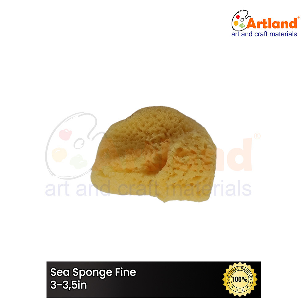 

Sea Sponge Fine 3-3,5in - Spons Laut Halus 3-3,5in Fl335